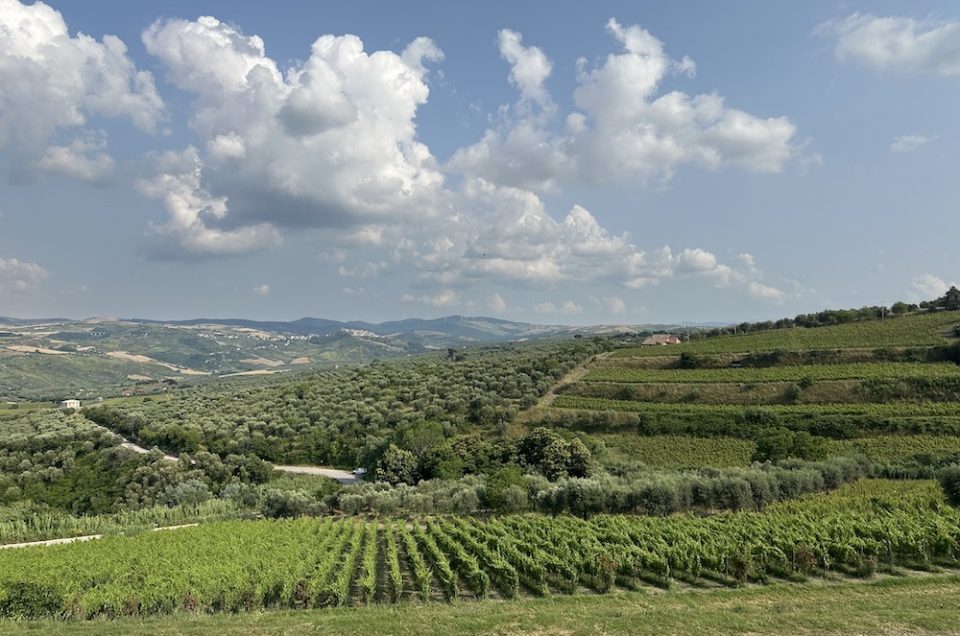 Alla scoperta delle Cantine del Vulture e dell’Aglianico